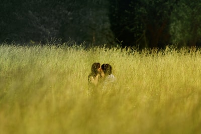 男人和女人在草场中间亲吻